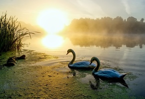 �������, ����, �����, ������, ����, ����, �������