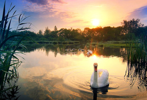 �������, �����, ����� ����, �����, ������, ������, �����