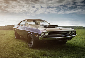 Dodge, Challenger, �����