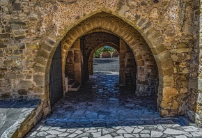 �����, ����, ������