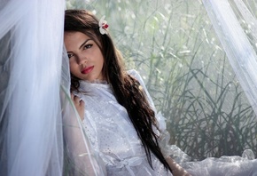 �������, ��������, ������, ������, ������, ������, ����