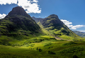 , , Glencoe, , 