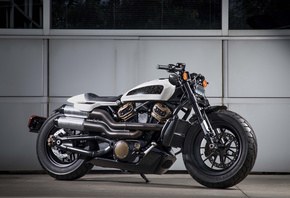 Harley-Davidson Custom, 
