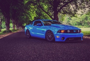 Ford, Mustang, Shelby, GT350, tuning, muscle cars, road, blue