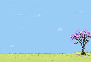 ������, ��������, ���, ����, ������