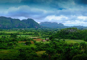 cuba, ������, �������, ����