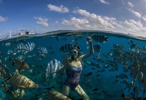 �������, ����, ��� �����, �����, �����