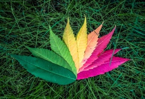 ������, �����