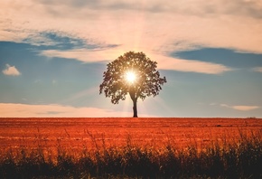 ���� ������, ������, ����, ��������, ����, �������