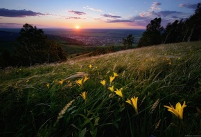 �����, �������, ������, �����, �������, �����, �����, �����, �����