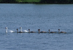 ������, �����, �������