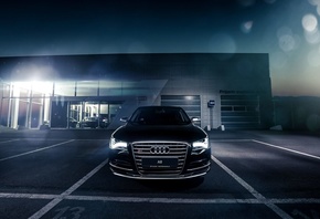 ����, ��������, ����