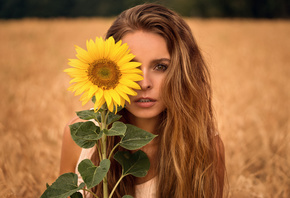 women, sunflowers, blonde, Martin Kuhn, portrait, face, long hair