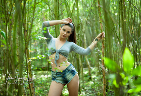 �������, �����, �������