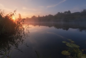 утро, озеро, рассвет, пейзаж, лето, фото, Андрей Олонцев