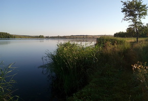 ����, ����, 2018, �����, �������, ����