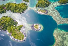 �������, �����