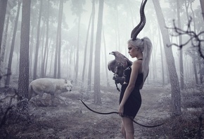 �������, �������, ����, ����, ����