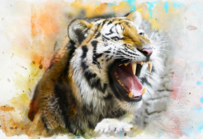 Tiger, Splash, Art