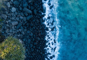 �������, �����, �����, ����