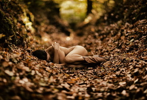 �������, �����, ������, �����