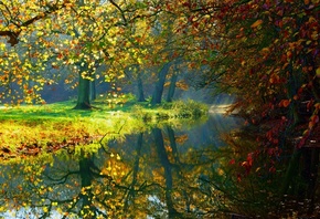 природа, осень, пейзаж, лес, деревья, река, отражение