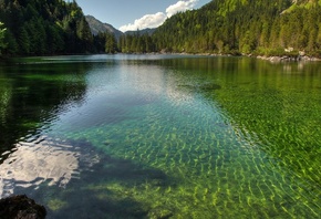 Austria, Lake, Forest