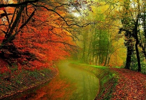 природа, осень, парк деревья, водоём, канал
