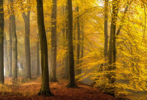 , , , Lars van de Goor, , , 