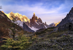 Timothy Poulton, Аргентина, Патагония, горы, ледники, снега, камни, мох, деревья
