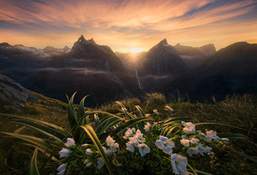 Marc Adamus, Новая Зеландия, природа, пейзаж, горы, трава, цветы, солнце, з ...