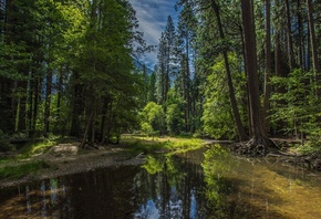 Yosemite, National Park, California, 