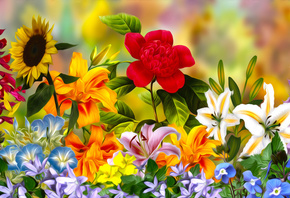 Kwiaty, Kolorowe, Grafika