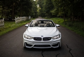 , F83, 