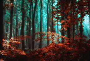 Jan - Herman Visser, , , , , , 