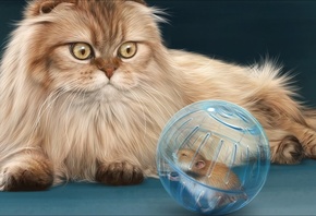 digital art, ��������, ���, �����, ���, ����