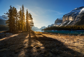 Evgeny, ���� ����