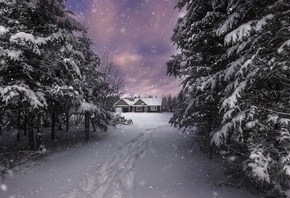 природа, зима, снег, деревья, ели, дом, тропинка, снегопад