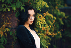 Dmitry Medved, ���� ����