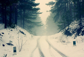 road, forest, snow, trees, branches, nature, fog, silence, frost, haze, pin ...