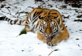 ����, �����, ��������, ����, ����