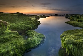 , , , , , , , , , , , 