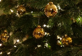 ����, ���������, ���������, �����, ����, ����� ���