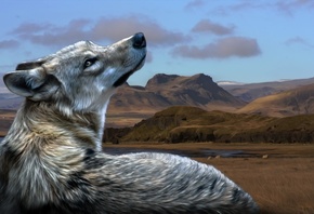 ����, ����, ������, 3d