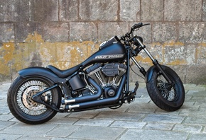 Harley-Davidson, Custom, 