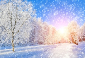 ���, ����, ����