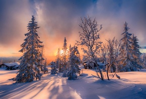 , , , , , , , , , , , Allan Pedersen