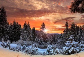 , , , , , , , , , , ,  ...