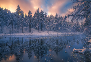 зима, лес, деревья, пейзаж, природа, река, ели, Норвегия, Ole Henrik Skjels ...