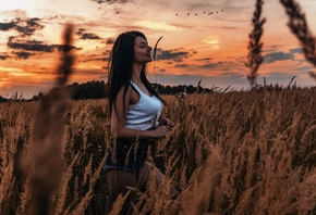 �������, ����, �����, �����, �����